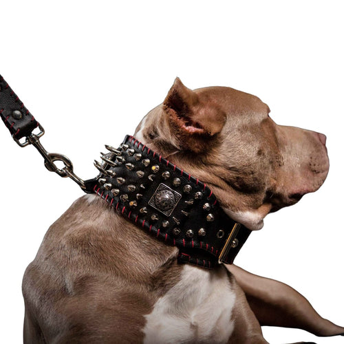 Hand-Stitched Leather Dog Collar, 3.15 in Wide, Large Breeds (L-XL)