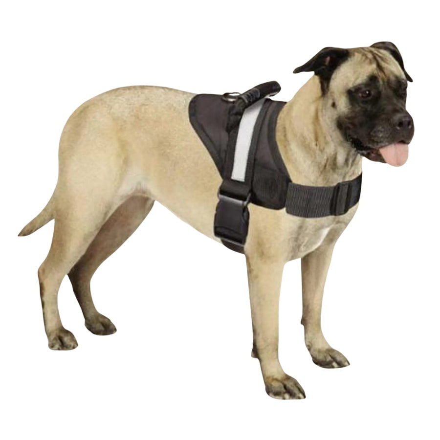 Guardian Gear Excursion Harnesses 36-46In for Dogs – Reflective Safety