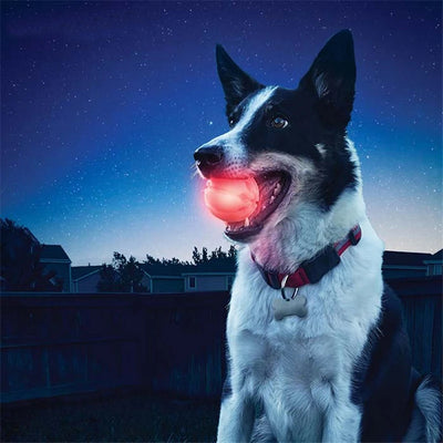 NightGlow LED Fetch Ball for Dogs – Glow-in-the-Dark Night Play Toy — Toys Fetch Toys | Paws N Shades