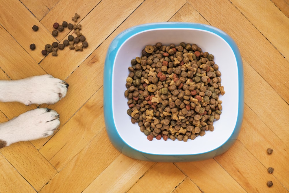 Food and Treats