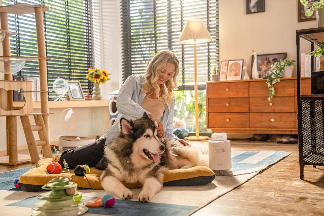 Why Regular Grooming Is Essential for Your Dog's Health