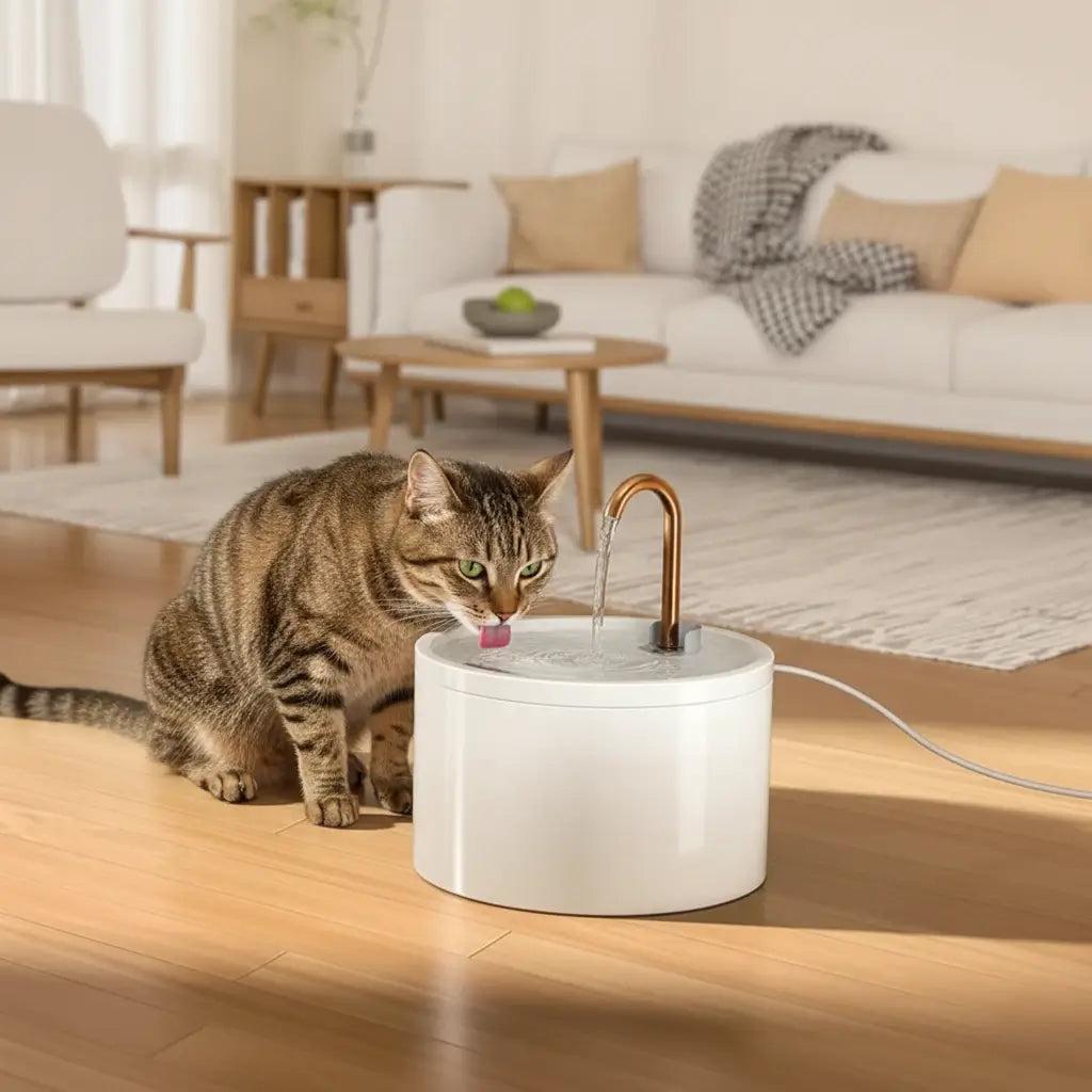 Understanding the Importance of Hydration for Cats