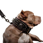 Hand-Stitched Leather Dog Collar, 3.15 in Wide, Large Breeds (L-XL)