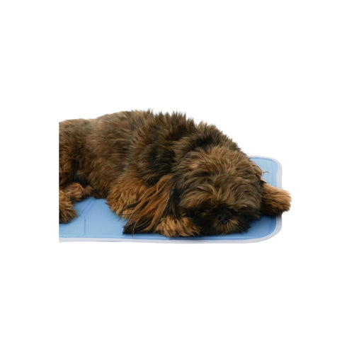 The Green Pet Shop Cool Pet Pad, Pressure-Activated Self-Cooling Gel Mat — Seasonal Gear Summer Cooling | Paws N Shades