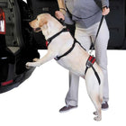 Total Pet Health Lift & Go Dog Lead — Accessories Leashes | Paws N Shades