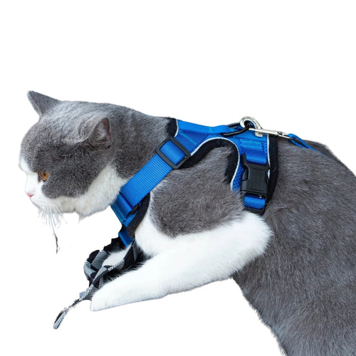 Mr. Peanut's PurrTrek Reflective Cat Harness with Matching Leash — Accessories Harnesses | Paws N Shades