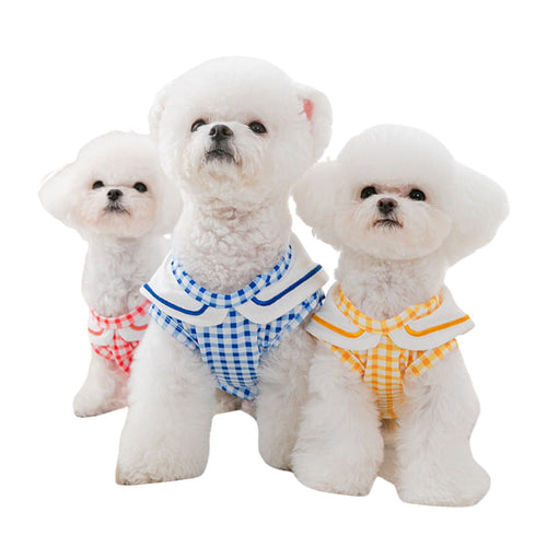 Cat Shirts for Small and Medium Dogs – Multi-Color
