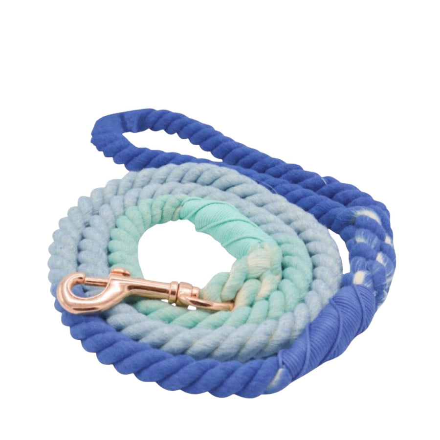 ROPE LEASH - OCEANSIDE RAINBOW-0