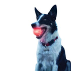 NightGlow LED Fetch Ball for Dogs – Glow-in-the-Dark Night Play Toy — Toys Fetch Toys | Paws N Shades