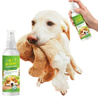 Pet Bitter No-Chew Training Spray for Dogs & Cats – 150ml — Toys Chew Toys | Paws N Shades