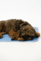 The Green Pet Shop Cool Pet Pad, Pressure-Activated Self-Cooling Gel Mat — Seasonal Gear Summer Cooling | Paws N Shades