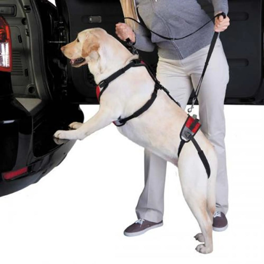 Total Pet Health Lift & Go Dog Lead — Accessories Leashes | Paws N Shades
