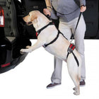 Total Pet Health Lift & Go Dog Lead (view 4)