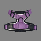 Mr. Peanut's PurrTrek Reflective Cat Harness with Matching Leash (view 8)