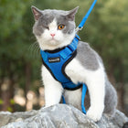Mr. Peanut's PurrTrek Reflective Cat Harness with Matching Leash (view 3)
