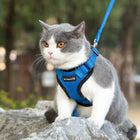 Mr. Peanut's PurrTrek Reflective Cat Harness with Matching Leash (view 4)