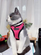 Mr. Peanut's PurrTrek Reflective Cat Harness with Matching Leash (view 6)