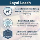 Hetzer Loyal E-Leash for Dogs (view 3)