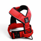 Adjustable Heavy-Duty Dog Harness, 3 D-Rings (M-XXL) - detail view 3 of 5