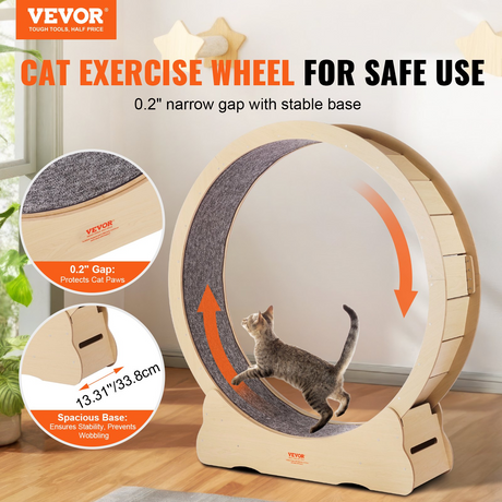 Cat Interactive Toys