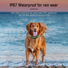 Waterproof No-Shock Anti-Bark Training Collar for Dogs – Sound & Vibration (view 4)